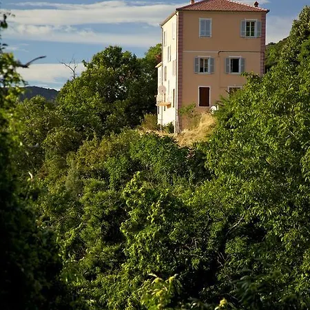 Casa Capellini * Alzi